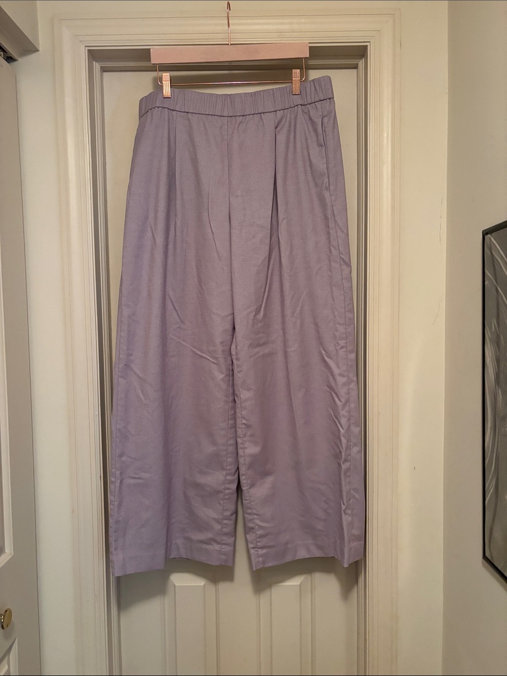 Ann Taylor Lilac Wide-Leg Women's Pants